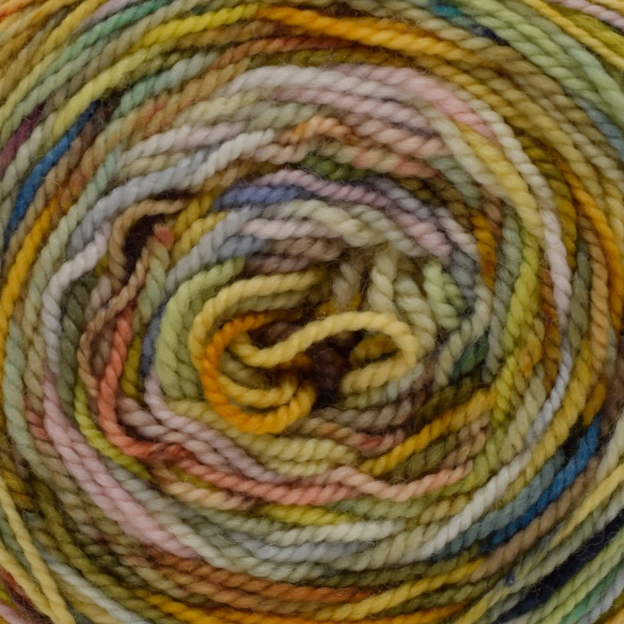 Koigu Color Blast Cake