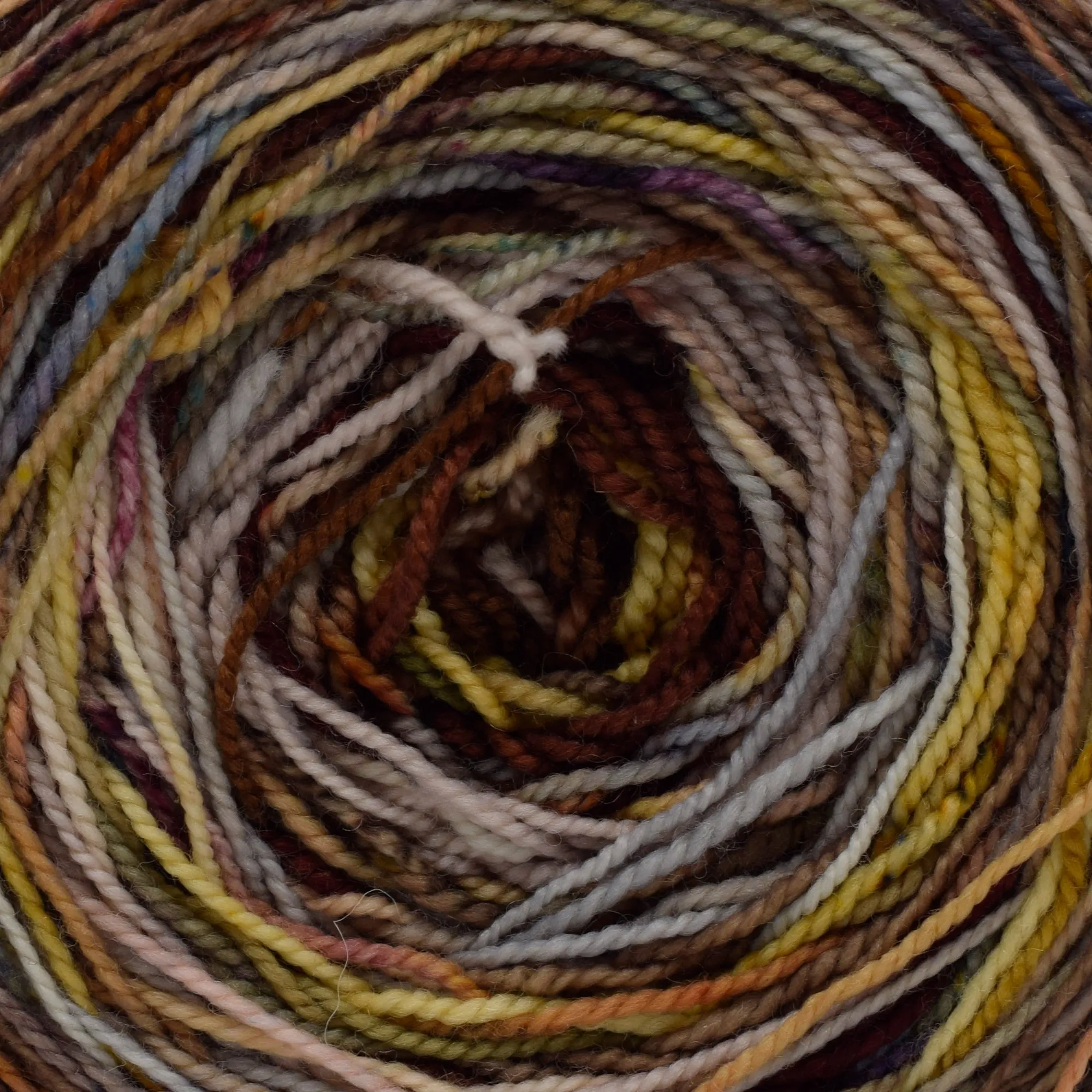 Koigu Color Blast Cake