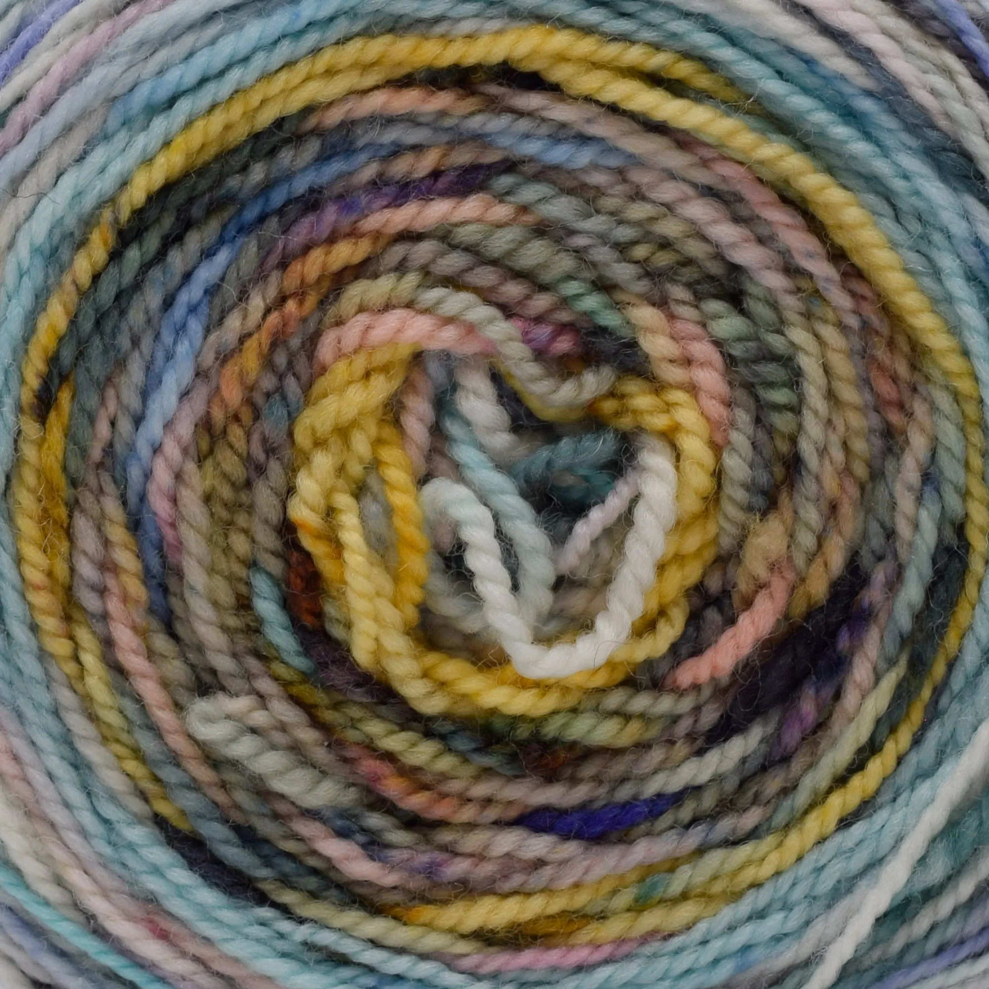 Koigu Color Blast Cake